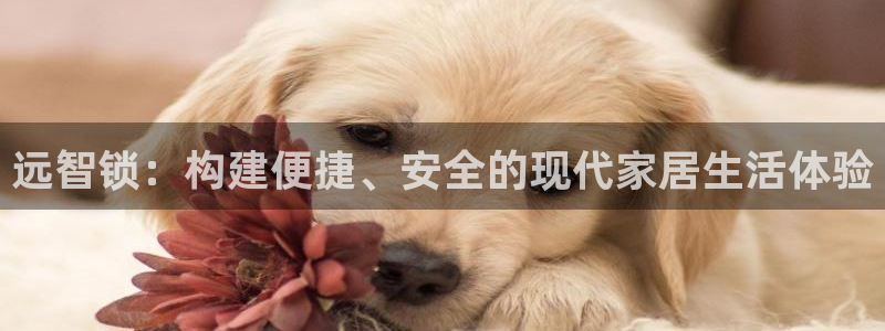 利记官网多少：远智锁：构建便捷、安全的现代家居生活体验