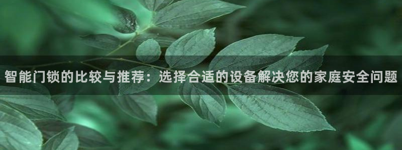 利记官网香菜1：智能门锁的比较与推荐：选择合适的设备解决您的