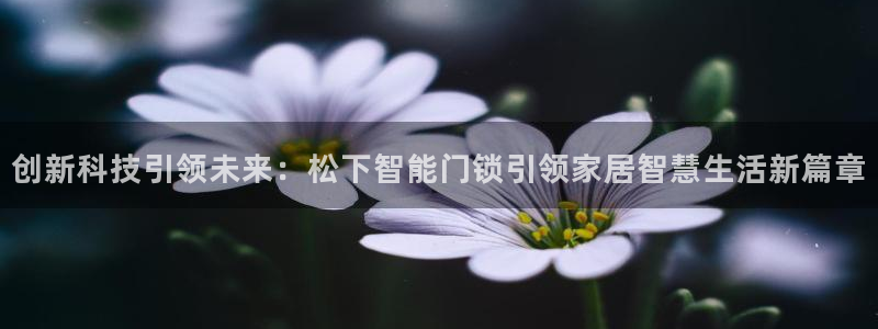 利记国际官网：创新科技引领未来：松下智能门锁引领家居智慧生活