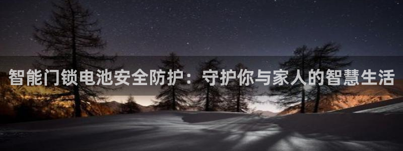 利记官网日亚运比：智能门锁电池安全防护：守护你与家人的智慧生