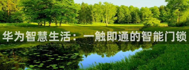 利记手机官网：华为智慧生活：一触即通的智能门锁