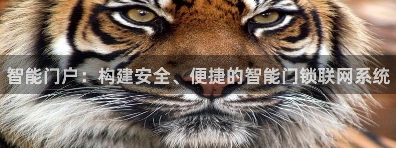 利记官网多少：智能门户：构建安全、便捷的智能门锁联网系统