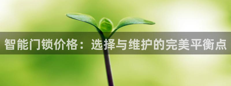 利记信誉官网：智能门锁价格：选择与维护的完美平衡点