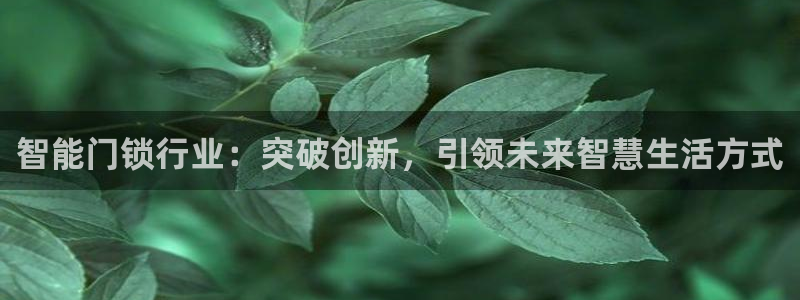 利记游戏开户ysb体育官方官网：智能门锁行业：突破创新，引领