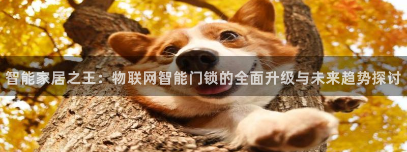 澳博官网app利记网址：智能家居之王：物联网智能门锁的全面升