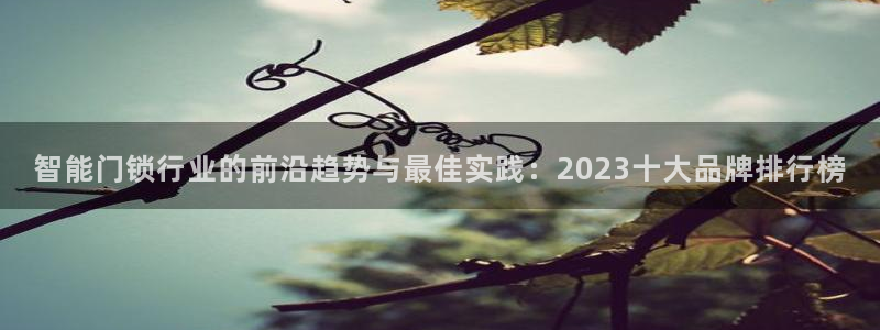 香港利记集团官网地址：智能门锁行业的前沿趋势与最佳实践：20