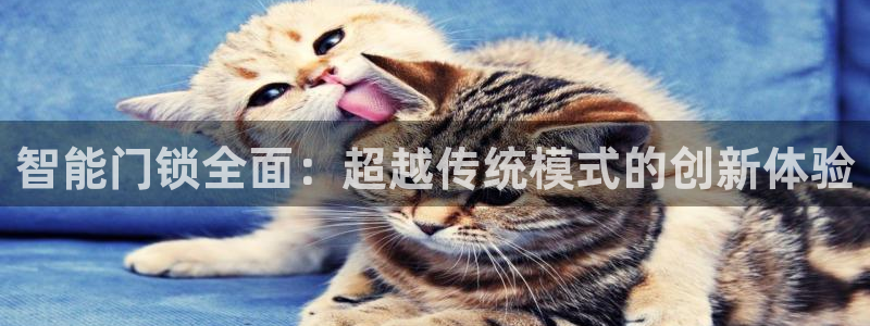利记体育投注官网：智能门锁全面：超越传统模式的创新体验