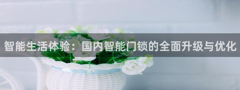 188bet注册利记官网app：智能生活体验：国内智能门锁的