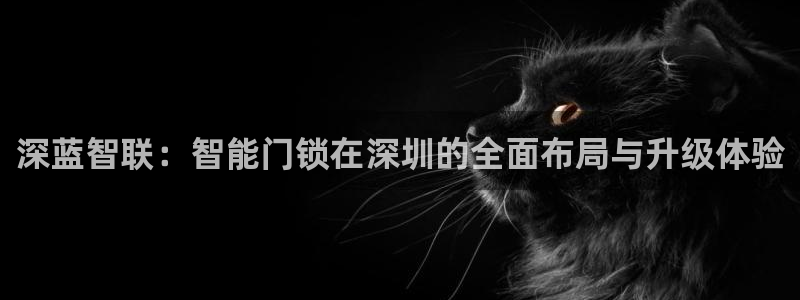 利记二手车行官网：深蓝智联：智能门锁在深圳的全面布局与升级体