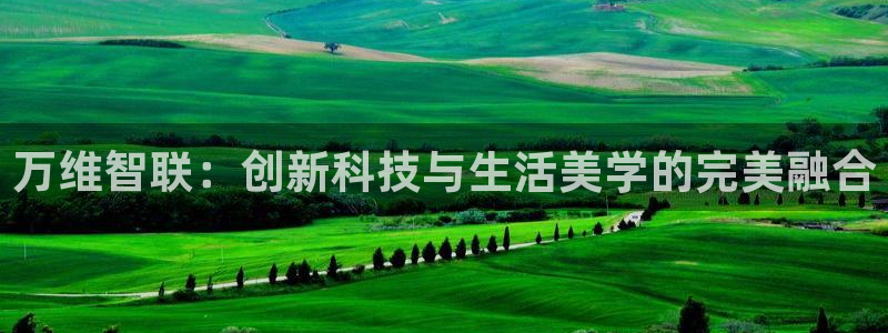 利记官网app：万维智联：创新科技与生活美学的完美融合
