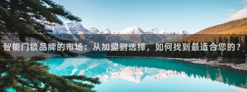 利记手机官网葡京备用：智能门锁品牌的市场：从加盟到选择，如何