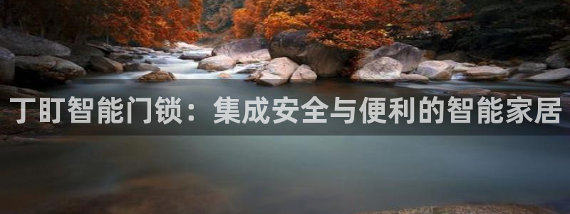 利记足球官网：丁盯智能门锁：集成安全与便利的智能家居