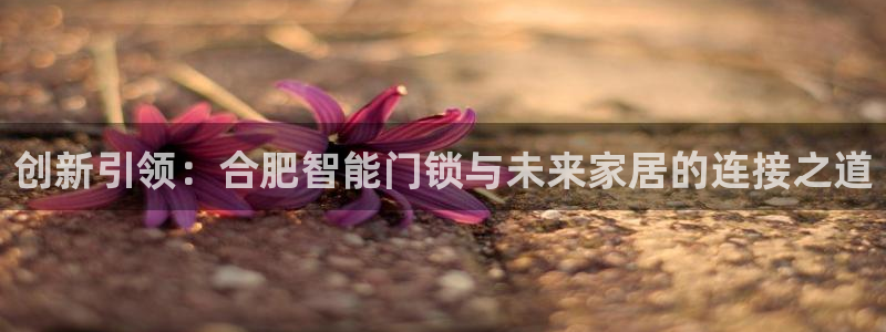 利记官网平台入口：创新引领：合肥智能门锁与未来家居的连接之道