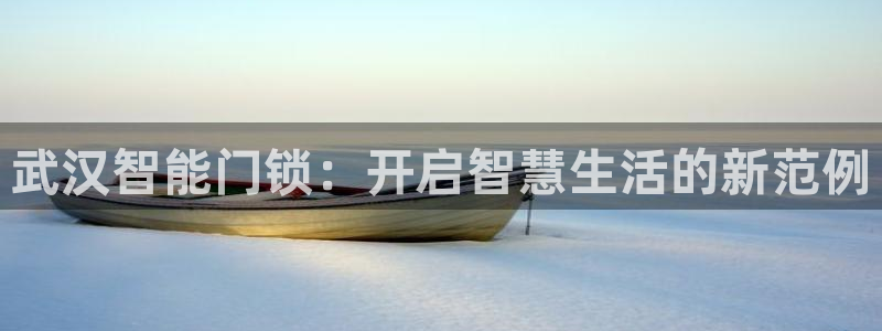 利记官网官方网址：武汉智能门锁：开启智慧生活的新范例