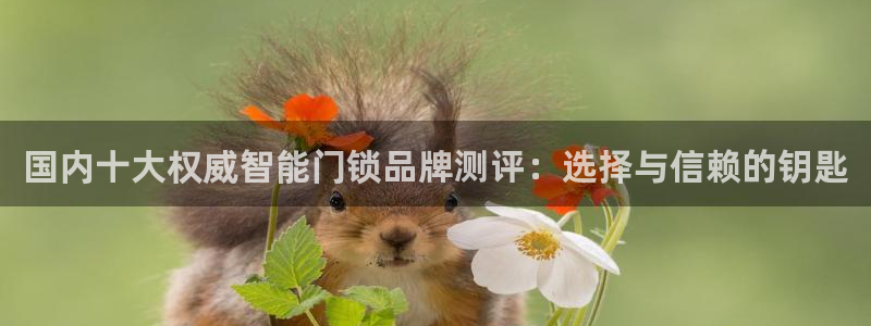 利记博彩官网APP：国内十大权威智能门锁品牌测评：选择与信赖