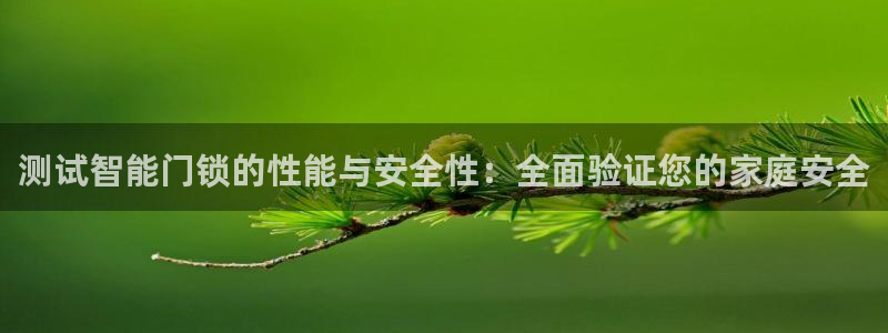 利记官网app：测试智能门锁的性能与安全性：全面验证您的家庭