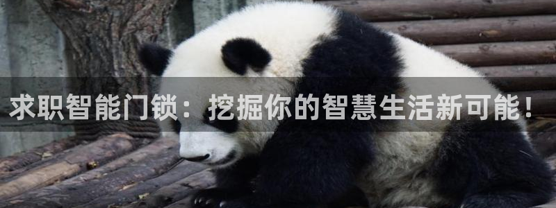 利记坊官网注册账号：求职智能门锁：挖掘你的智慧生活新可能！