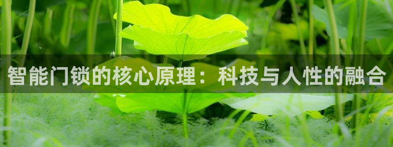 利记官网是多少：智能门锁的核心原理：科技与人性的融合