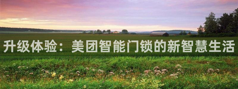 利记坊官网：升级体验：美团智能门锁的新智慧生活
