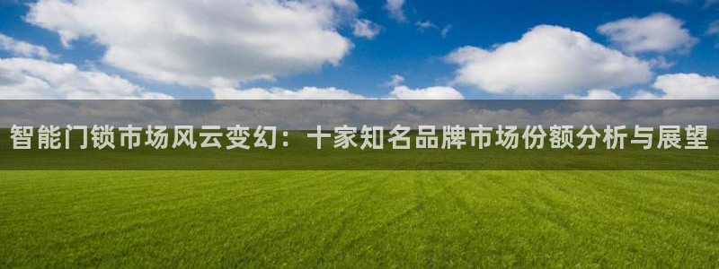 利记网官网：智能门锁市场风云变幻：十家知名品牌市场份额分析与