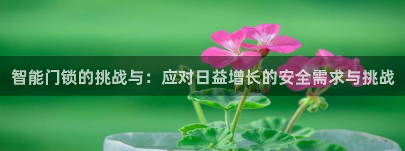 利记网官网：智能门锁的挑战与：应对日益增长的安全需求与挑战