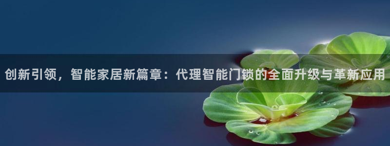 利记手机官网：创新引领，智能家居新篇章：代理智能门锁的全面升