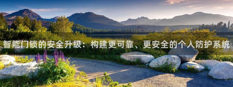 sbo利记体育官网：智能门锁的安全升级：构建更可靠、更安全的