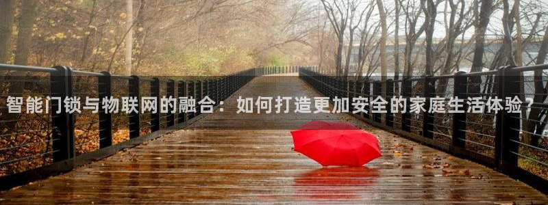 利记app官方官网登录：智能门锁与物联网的融合：如何打造更加