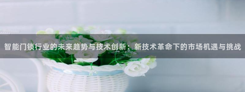 利记国际线址官网：智能门锁行业的未来趋势与技术创新：新技术革