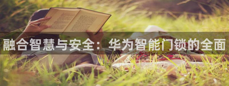 利记坊官网注册账号：融合智慧与安全：华为智能门锁的全面