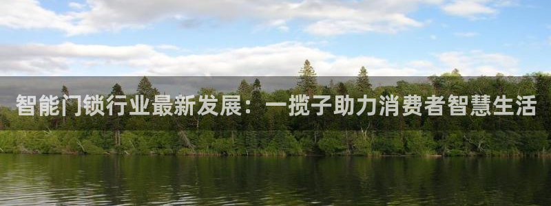 利记官网app下载网址：智能门锁行业最新发展：一揽子助力消费