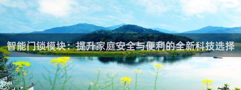 利记官网入口最新版：智能门锁模块：提升家庭安全与便利的全新科