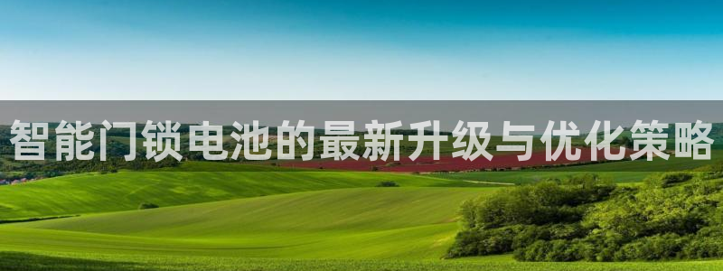 大利来记官网：智能门锁电池的最新升级与优化策略