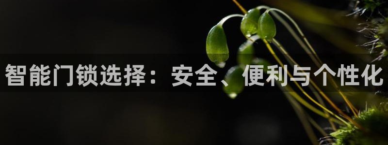 利记足球官网：智能门锁选择：安全、便利与个性化