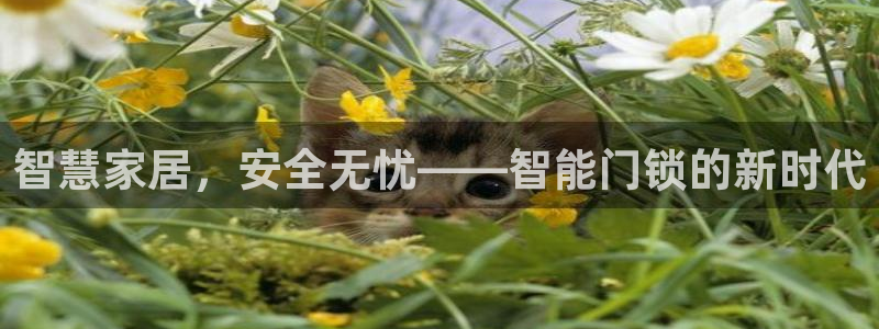 利记坊官网注册账号申请：智慧家居，安全无忧——智能门锁的新时