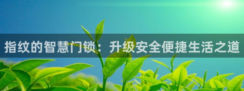 SBOBET利记官网：指纹的智慧门锁：升级安全便捷生活之道