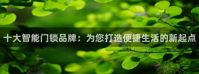 利记官网电脑版：十大智能门锁品牌：为您打造便捷生活的新起点