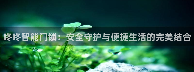 利记彩票导航网址官网hd71：咚咚智能门锁：安全守护与便捷生