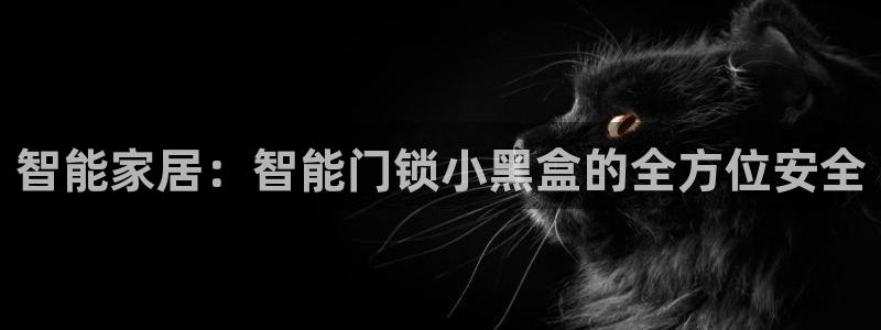 利记体育手机版官网：智能家居：智能门锁小黑盒的全方位安全