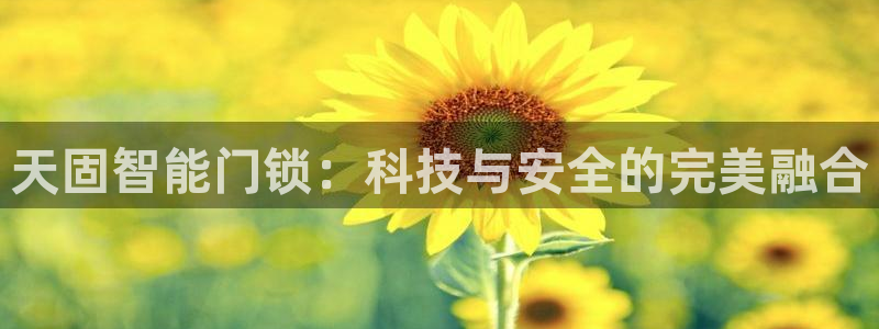 利记官网app下载网址日博官网网址：天固智能门锁：科技与安全