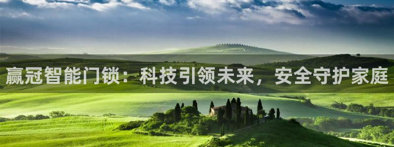 利记厨具官网客服电话：赢冠智能门锁：科技引领未来，安全守护家