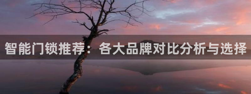 利记坊官网注册账号：智能门锁推荐：各大品牌对比分析与选择