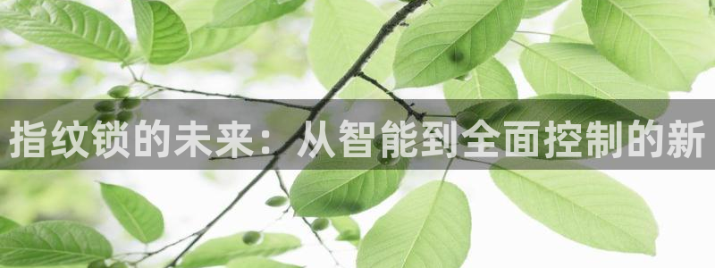 利记彩票网网址官网hd71：指纹锁的未来：从智能到全面控制的