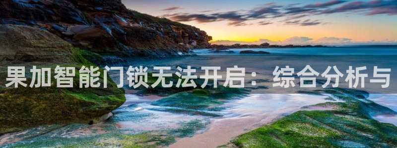 利记国际有限公司官网：果加智能门锁无法开启：综合分析与
