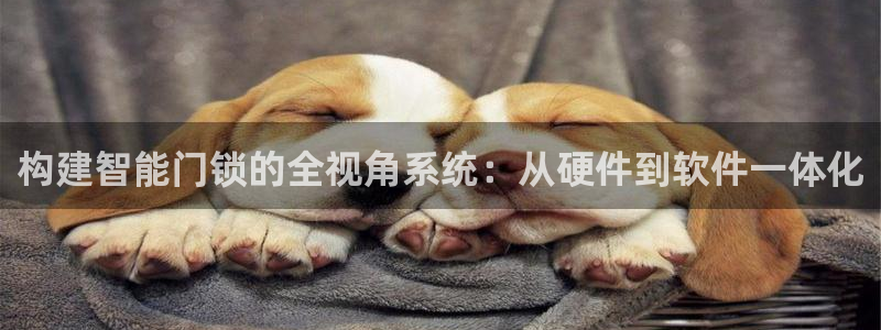 利记正式官网：构建智能门锁的全视角系统：从硬件到软件一体化