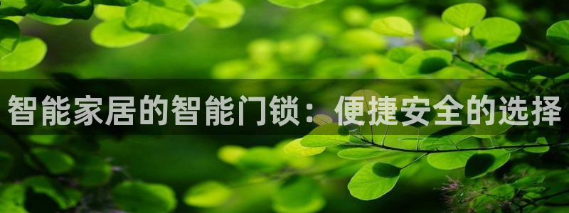 利记的官网：智能家居的智能门锁：便捷安全的选择