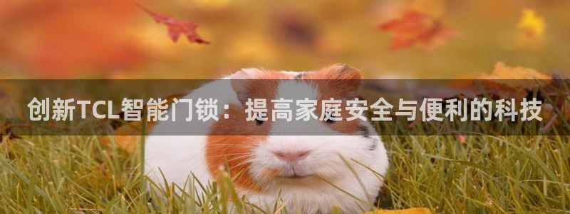 利记真正的官网是多少：创新TCL智能门锁：提高家庭安全与便利