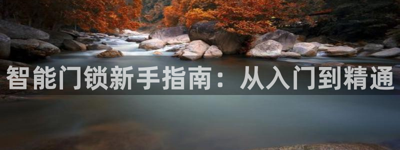 利记官网是真的吗：智能门锁新手指南：从入门到精通