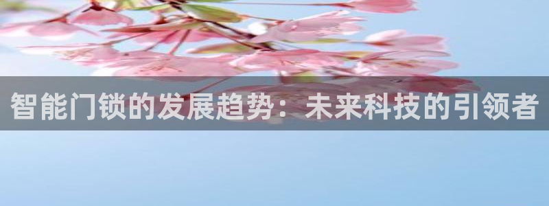 利记官网官方网址：智能门锁的发展趋势：未来科技的引领者