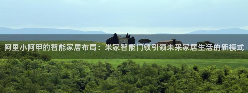 利记官网行业领导者：阿里小阿甲的智能家居布局：米家智能门锁引
